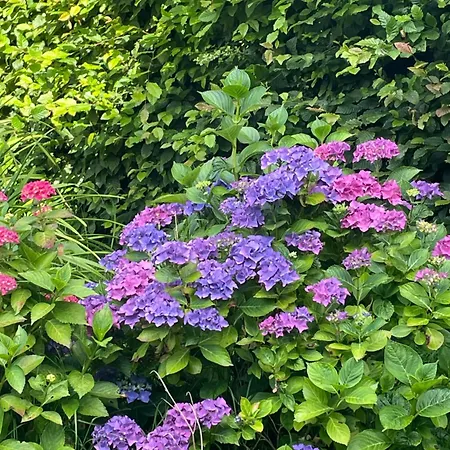 فيلة Maison Hestia *